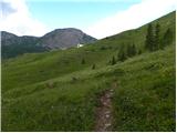 Malga Fosse - Rifugio Rosetta